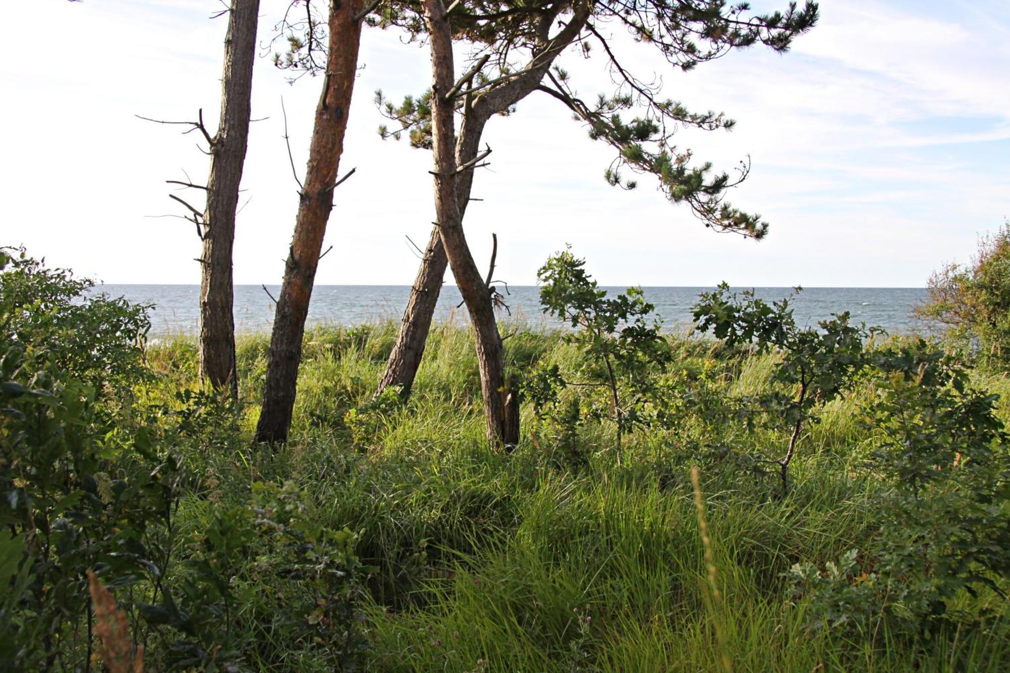 Let'S Sea - 2 Bedroom - Premium Baltic Apartment With Front Sea View Garden And Spa Access Gąski Eksteriør billede
