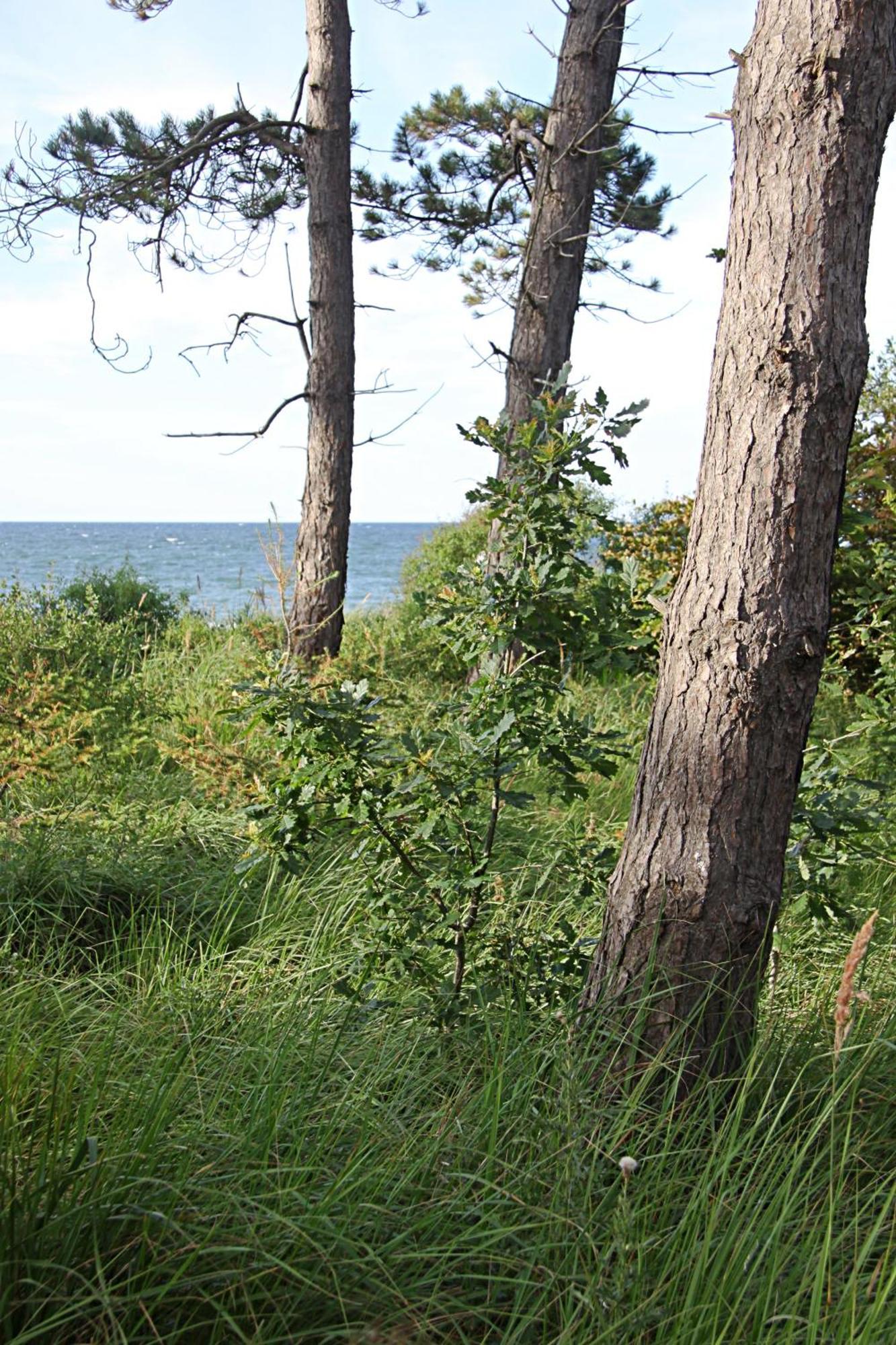 Let'S Sea - 2 Bedroom - Premium Baltic Apartment With Front Sea View Garden And Spa Access Gąski Eksteriør billede