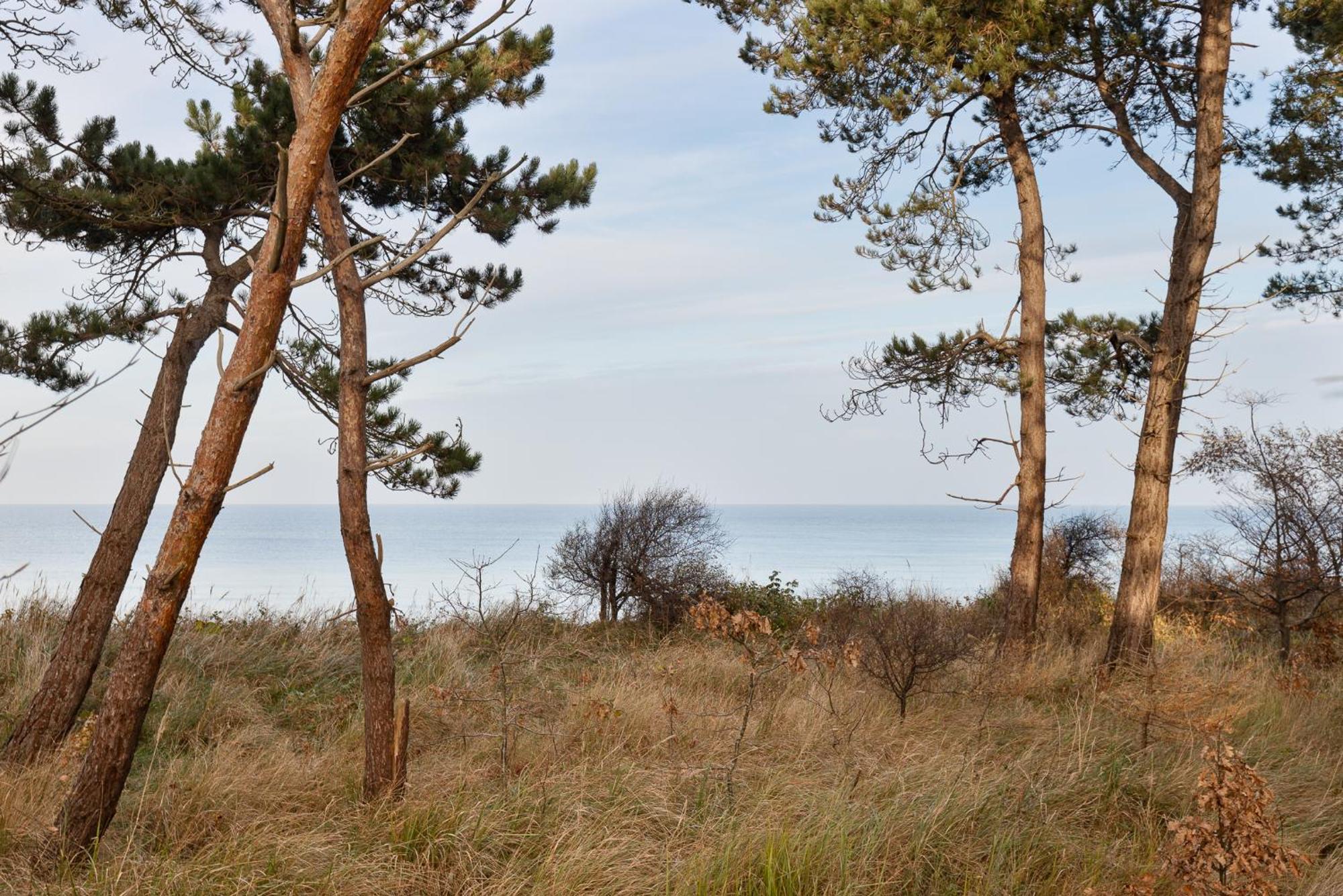 Let'S Sea - 2 Bedroom - Premium Baltic Apartment With Front Sea View Garden And Spa Access Gąski Eksteriør billede